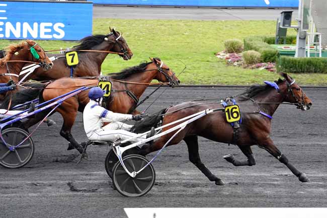 Photo d'arrivée de la course pmu PRIX DE LA GENEVRAYE à PARIS-VINCENNES le Mardi 16 février 2021
