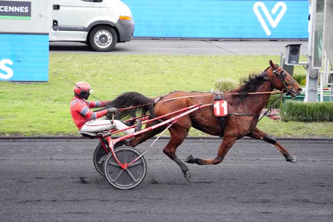 Photo d'arrivée de la course pmu PRIX DE FORCALQUIER à PARIS-VINCENNES le Mardi 16 février 2021