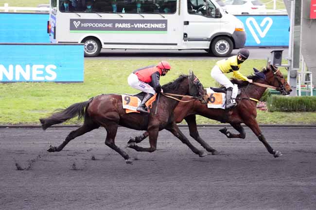 Photo d'arrivée de la course pmu PRIX DE CAUSSADE à PARIS-VINCENNES le Mardi 16 février 2021
