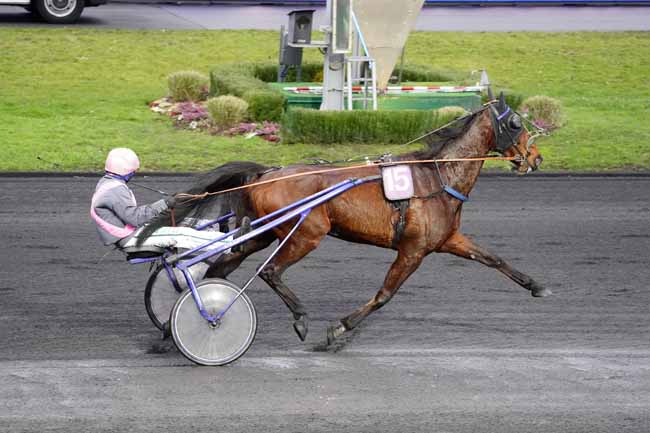 Photo d'arrivée de la course pmu PRIX DE BERCY à PARIS-VINCENNES le Mardi 16 février 2021