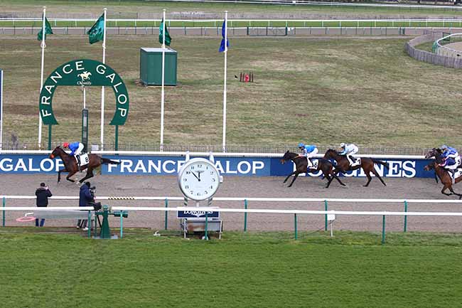 Photo d'arrivée de la course pmu PRIX DU CARREFOUR DU CHAPITRE à CHANTILLY le Mardi 16 février 2021