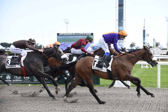 Photo d'arrivée de la course pmu PRIX JACQUES GELIOT à CAGNES-SUR-MER le Mercredi 17 février 2021