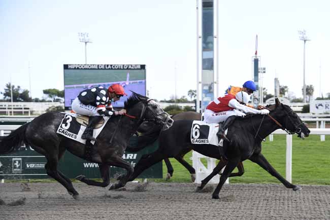 Photo d'arrivée de la course pmu PRIX DES CHEVREFEUILLES à CAGNES-SUR-MER le Mercredi 17 février 2021