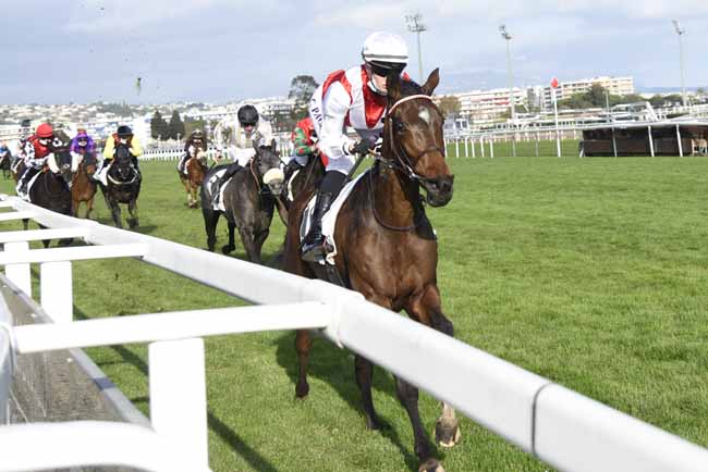 Photo d'arrivée de la course pmu PRIX DES MIMOSAS à CAGNES-SUR-MER le Mercredi 17 février 2021