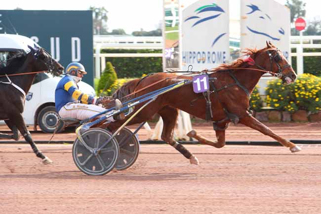 Photo d'arrivée de la course pmu PRIX DE JEREZ DE LA FRONTERA à CAGNES-SUR-MER le Vendredi 19 février 2021