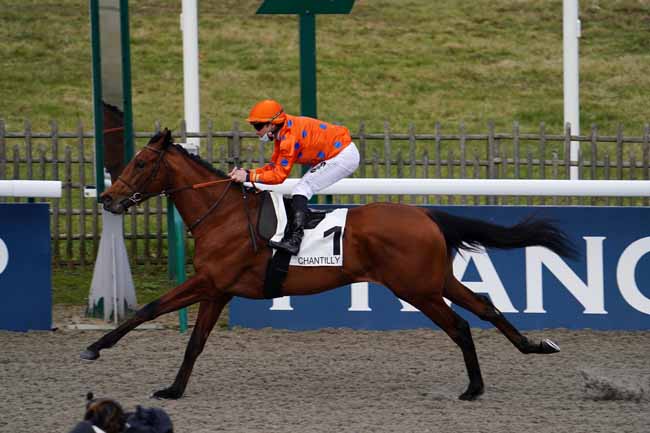 Photo d'arrivée de la course pmu PRIX DU PIC HARDI à CHANTILLY le Vendredi 19 février 2021