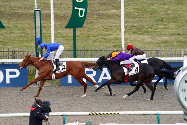 Photo d'arrivée de la course pmu PRIX DU CHATEAU DE LA TOUR à CHANTILLY le Vendredi 19 février 2021