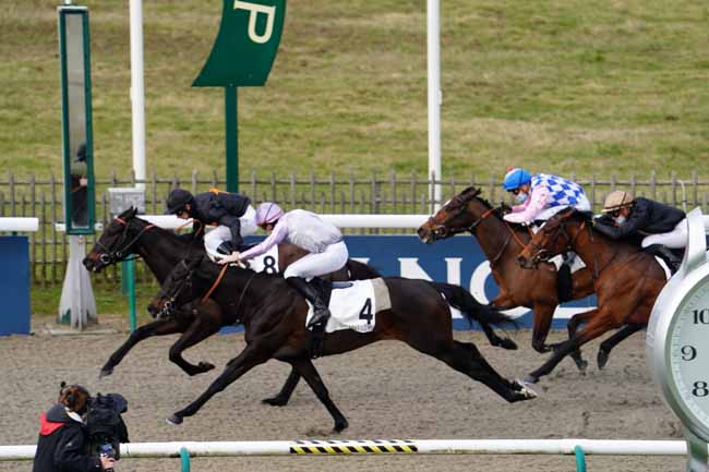 Photo d'arrivée de la course pmu PRIX DE LA ROUTE BOURBON à CHANTILLY le Vendredi 19 février 2021