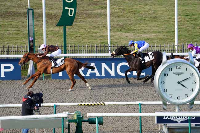 Photo d'arrivée de la course pmu PRIX DE LA HAUTE POMMERAYE à CHANTILLY le Vendredi 19 février 2021