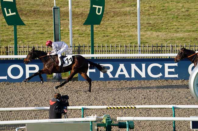 Photo d'arrivée de la course pmu PRIX DE SAINT-MARTIN-DU-TERTRE à CHANTILLY le Vendredi 19 février 2021