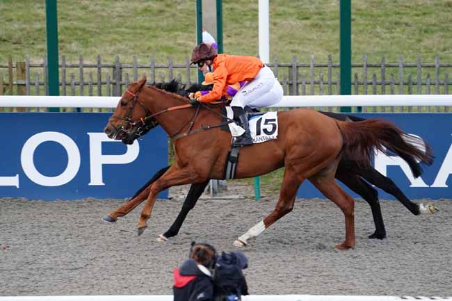 Photo d'arrivée de la course pmu PRIX DE LA ROUTE DES PRINCES à CHANTILLY le Vendredi 19 février 2021