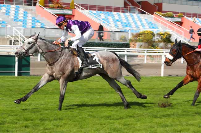 Photo d'arrivée de la course pmu PRIX DE PORQUEROLLES à CAGNES-SUR-MER le Samedi 20 février 2021