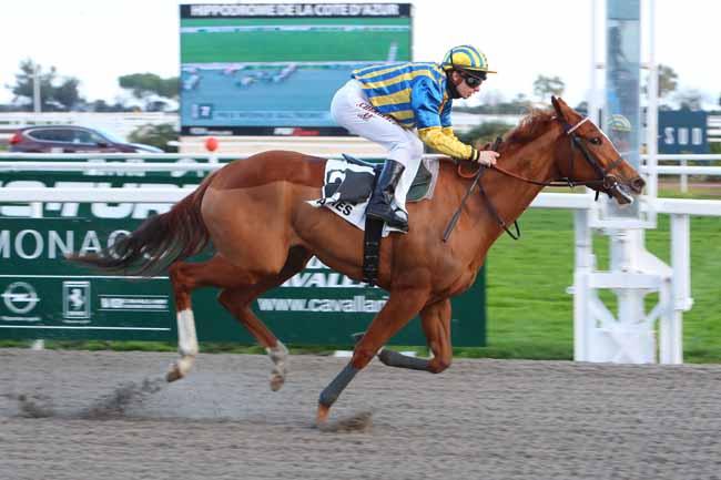 Photo d'arrivée de la course pmu PRIX WERNER BALTROMEI à CAGNES-SUR-MER le Samedi 20 février 2021