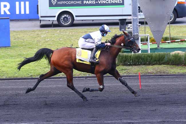 Photo d'arrivée de la course pmu PRIX DU PONTAVICE DE HEUSSEY à PARIS-VINCENNES le Dimanche 21 février 2021