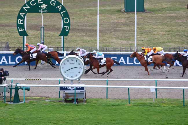 Photo d'arrivée de la course pmu PRIX DES HIPPODROMES D'HIVER à CHANTILLY le Lundi 22 février 2021
