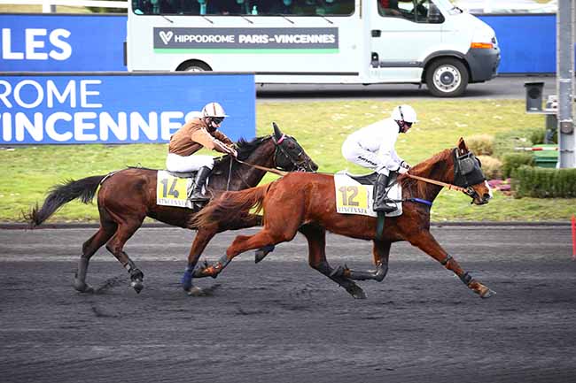 Photo d'arrivée de la course pmu PRIX DE RUGLES à PARIS-VINCENNES le Mardi 23 février 2021