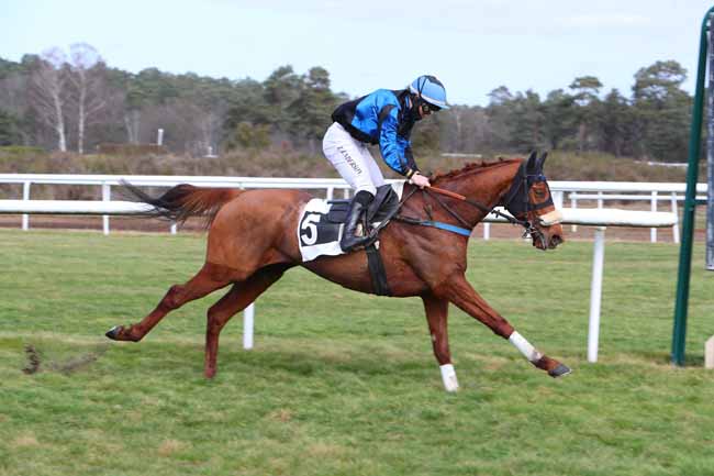 Photo d'arrivée de la course pmu PRIX GASTON DE LA MOTTE à FONTAINEBLEAU le Mardi 23 février 2021