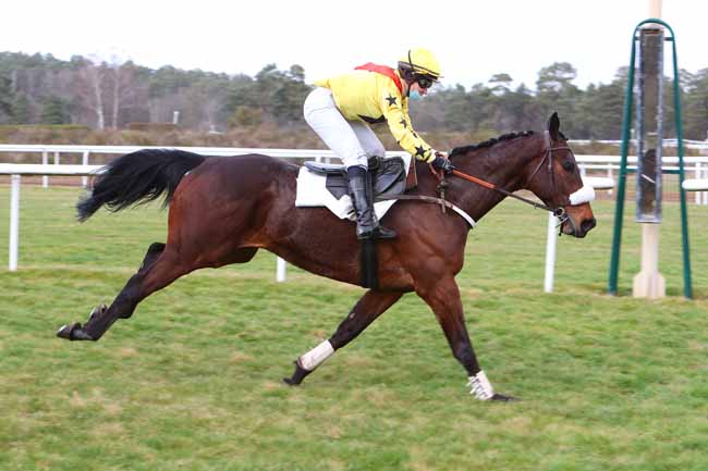 Photo d'arrivée de la course pmu PRIX CAPITAINE LABONDE à FONTAINEBLEAU le Mardi 23 février 2021