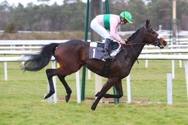 Photo d'arrivée de la course pmu PRIX DES HARAS NATIONAUX à FONTAINEBLEAU le Mardi 23 février 2021