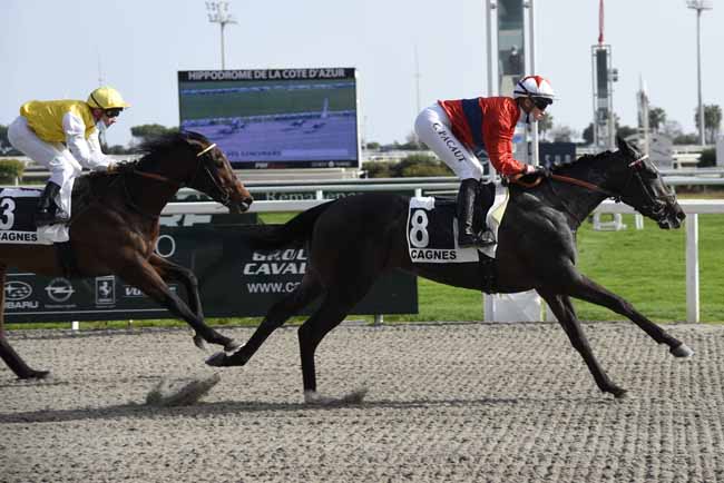 Photo d'arrivée de la course pmu PRIX DES GENEVRIERS à CAGNES-SUR-MER le Mercredi 24 février 2021