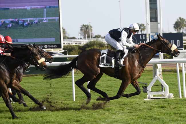 Photo d'arrivée de la course pmu PRIX DU MERCANTOUR à CAGNES-SUR-MER le Mercredi 24 février 2021