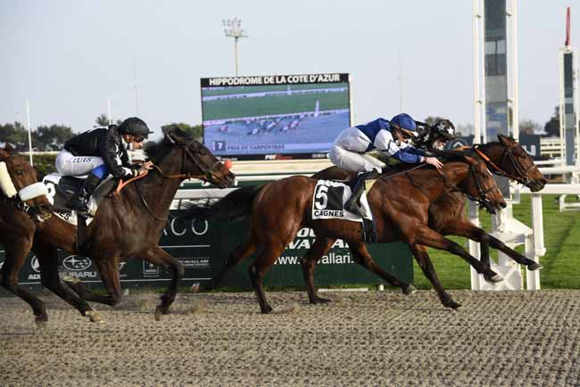 Photo d'arrivée de la course pmu PRIX DE CARPENTRAS à CAGNES-SUR-MER le Mercredi 24 février 2021