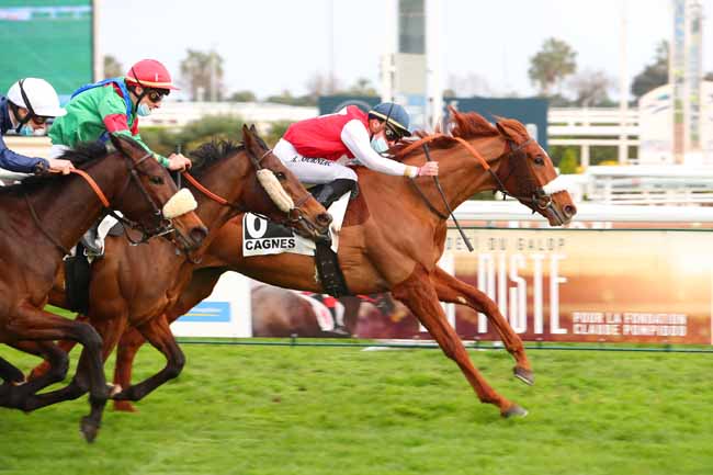 Photo d'arrivée de la course pmu PRIX PARTENAIRE ANTIBES SHARKS à CAGNES-SUR-MER le Samedi 27 février 2021