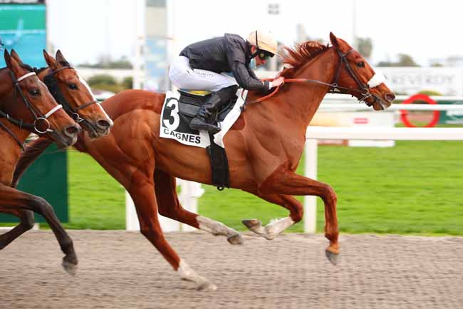Photo d'arrivée de la course pmu PRIX PARTENAIRE AZUR TRUCKS à CAGNES-SUR-MER le Samedi 27 février 2021