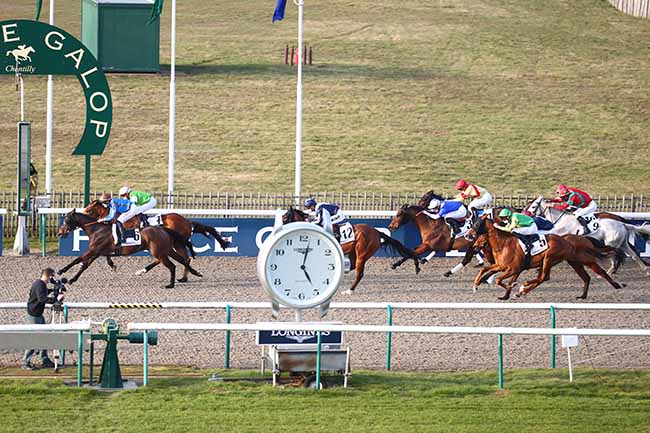Photo d'arrivée de la course pmu PRIX DE L'ALLEE QUINCONCE à CHANTILLY le Mardi 2 mars 2021