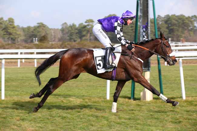 Photo d'arrivée de la course pmu PRIX DES DAGUETS à FONTAINEBLEAU le Jeudi 4 mars 2021