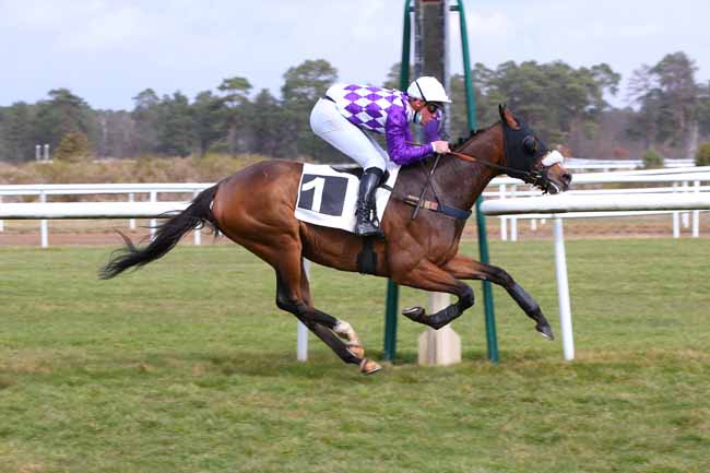 Photo d'arrivée de la course pmu PRIX DE MILLY-LA-FORET à FONTAINEBLEAU le Jeudi 4 mars 2021