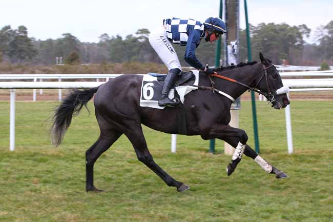 Photo d'arrivée de la course pmu PRIX JACQUES GELIOT à FONTAINEBLEAU le Jeudi 4 mars 2021