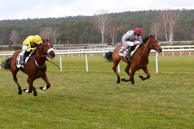 Photo d'arrivée de la course pmu PRIX DES HERONNIERES à FONTAINEBLEAU le Jeudi 4 mars 2021