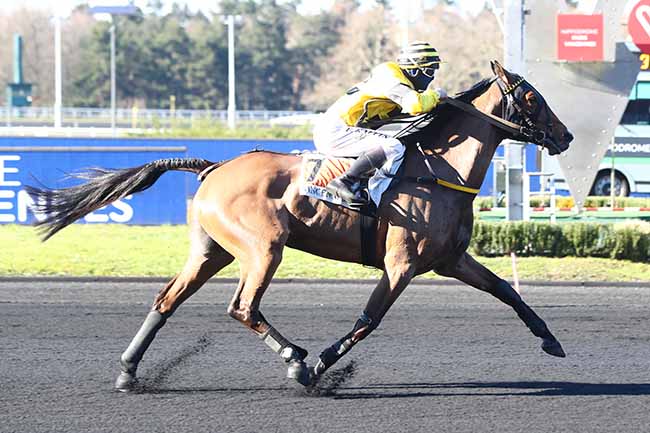 Photo d'arrivée de la course pmu PRIX LOUIS LE BOURG à PARIS-VINCENNES le Samedi 6 mars 2021