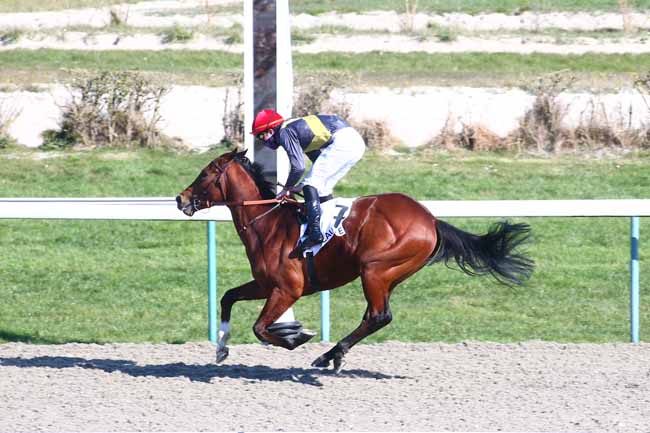 Photo d'arrivée de la course pmu PRIX DE BACQUEVILLE à DEAUVILLE le Samedi 6 mars 2021