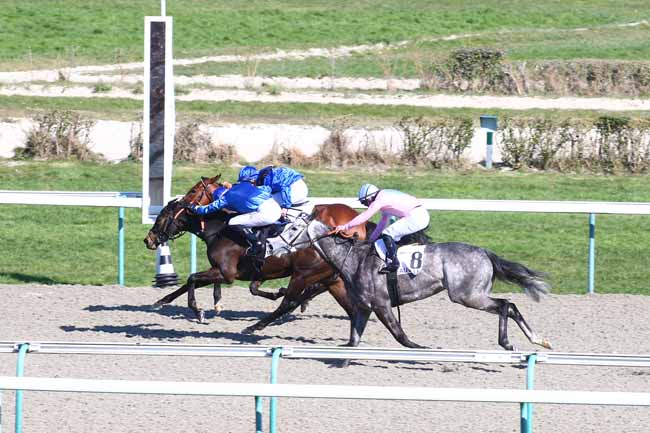 Photo d'arrivée de la course pmu PRIX DE COLOMBELLES à DEAUVILLE le Samedi 6 mars 2021