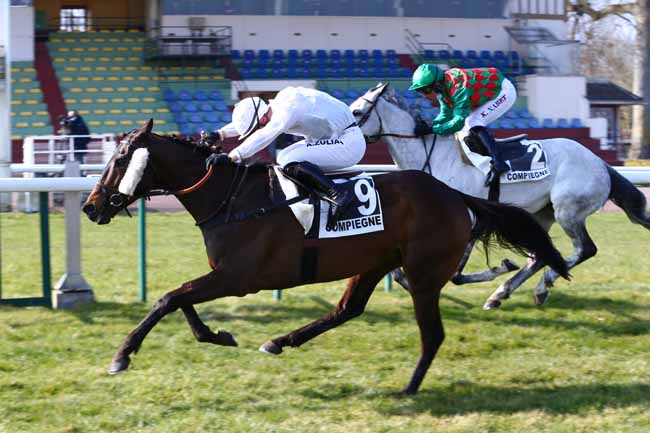 Photo d'arrivée de la course pmu PRIX DE LA SOMME à COMPIEGNE le Mardi 9 mars 2021