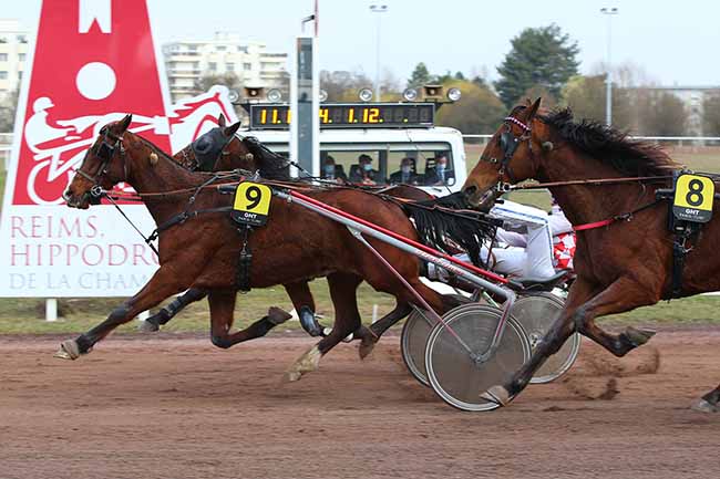 Photo d'arrivée de la course pmu GRAND NATIONAL DU TROT PARIS-TURF à REIMS le Mercredi 10 mars 2021