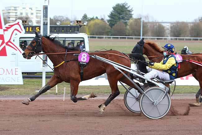 Photo d'arrivée de la course pmu PRIX OSCAR COLLARD à REIMS le Mercredi 10 mars 2021