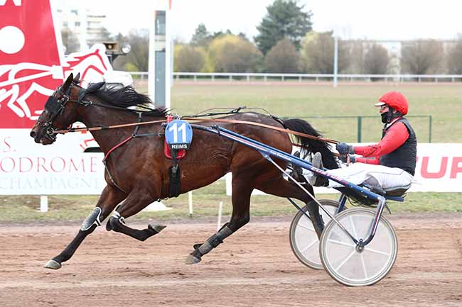 Photo d'arrivée de la course pmu GRAND NATIONAL DES AMATEURS à REIMS le Mercredi 10 mars 2021