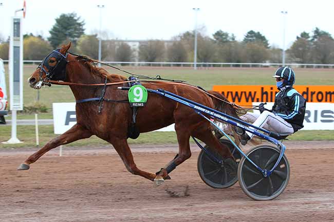 Photo d'arrivée de la course pmu PRIX DU CHAMPAGNE CASTELNAU à REIMS le Mercredi 10 mars 2021