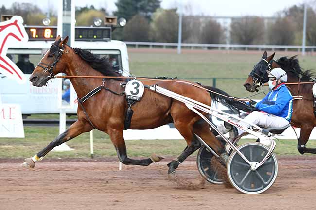 Photo d'arrivée de la course pmu PRIX RFM à REIMS le Mercredi 10 mars 2021