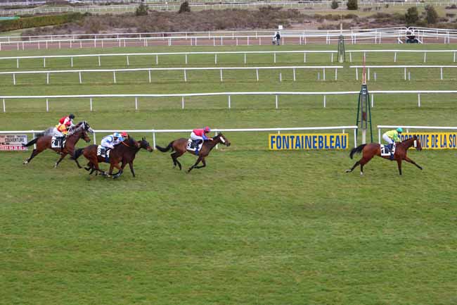 Photo d'arrivée de la course pmu PRIX DES CHARMES à FONTAINEBLEAU le Vendredi 12 mars 2021