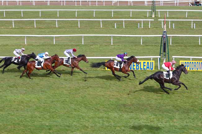 Photo d'arrivée de la course pmu PRIX DES SENTIERS DENECOURT à FONTAINEBLEAU le Vendredi 12 mars 2021