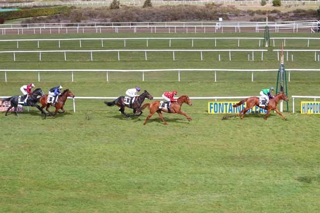 Photo d'arrivée de la course pmu PRIX DE FONTAINEBLEAU TOURISME à FONTAINEBLEAU le Vendredi 12 mars 2021