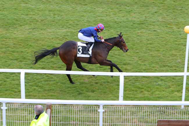 Photo d'arrivée de la course pmu PRIX DU ROCHER DE BOULIGNY à FONTAINEBLEAU le Vendredi 12 mars 2021