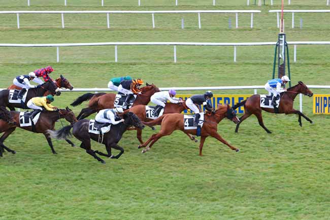 Photo d'arrivée de la course pmu PRIX DU COMITE DEPARTEMENTAL DU TOURISME DE SEINE-ET-MARNE à FONTAINEBLEAU le Vendredi 12 mars 2021