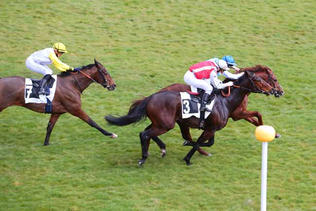 Photo d'arrivée de la course pmu PRIX DE LA CROIX DE VITRY à FONTAINEBLEAU le Vendredi 12 mars 2021