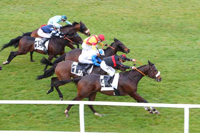 Photo d'arrivée de la course pmu PRIX DES ROCHERS DE FONTAINEBLEAU à FONTAINEBLEAU le Vendredi 12 mars 2021