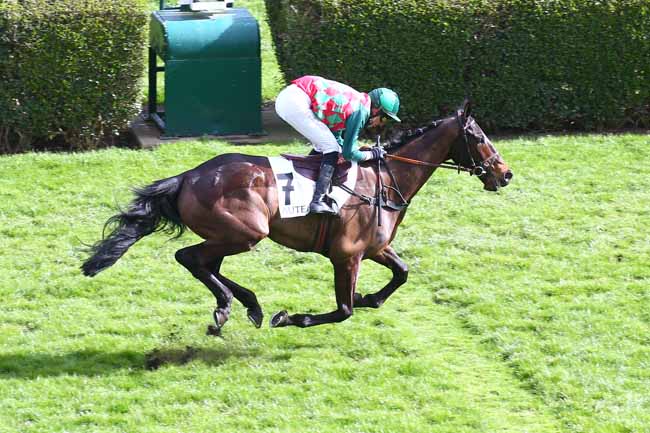 Photo d'arrivée de la course pmu PRIX TOFANO à AUTEUIL le Samedi 13 mars 2021